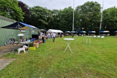 Kleine rommelmarkt bij het gilde 3