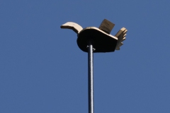 P1070592