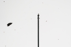 P1070788
